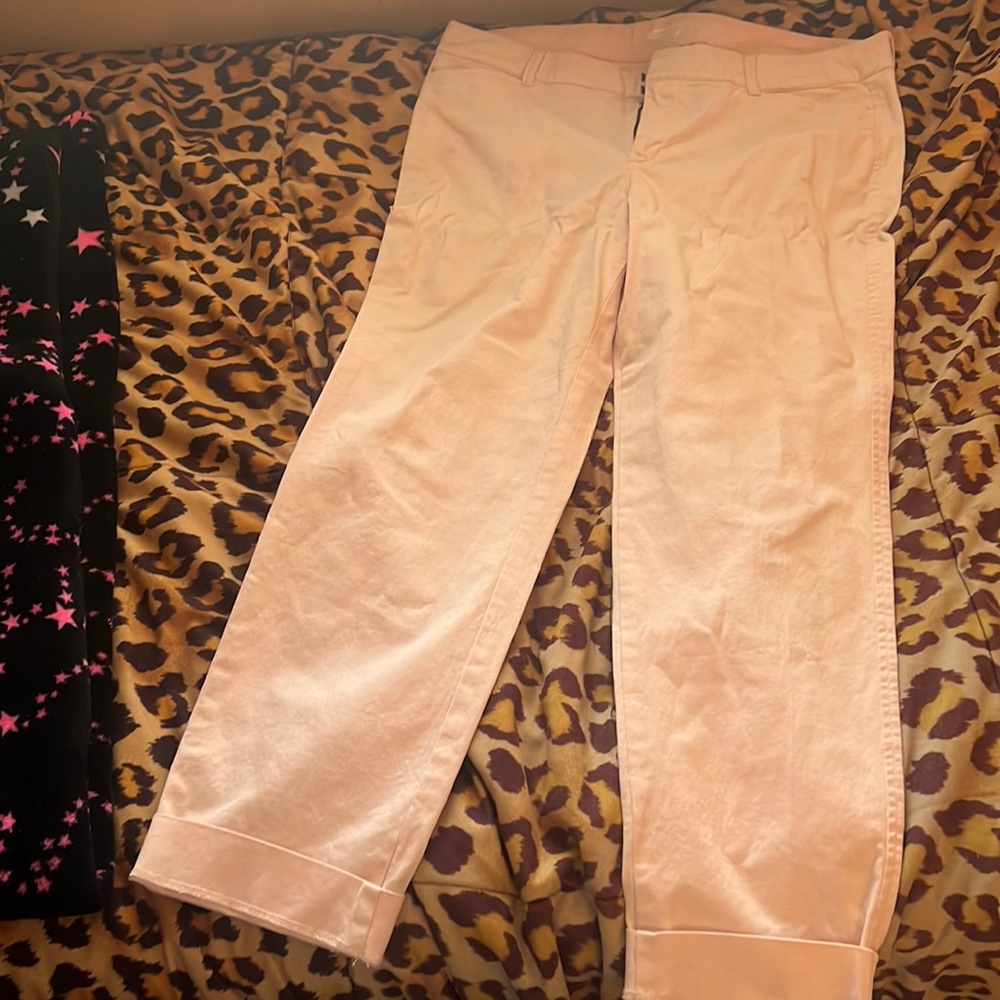 Light pink pants size 10 regular & standard